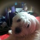 Jeanie Kyle - @jeaniecolella - Twitter