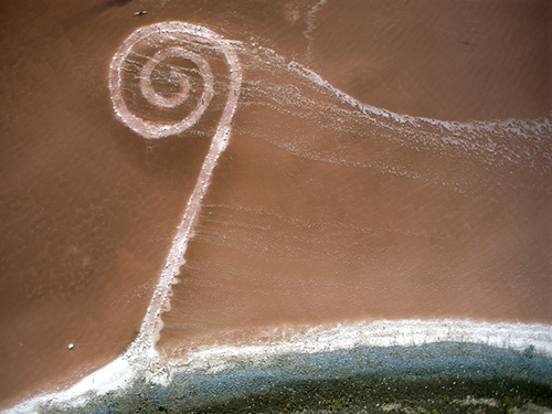 Malvablog's profile picture. 