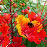 246chick's profile picture. 