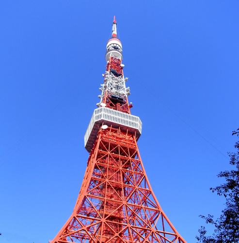 ワイワイと美味しいお酒を飲み、美味しいものを食べている時が一番幸せ☆お料理するの好き、スポーツ観戦好き（特に野球大好き）！最近SEVENTEENにハマってます♡