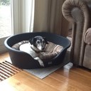 judith kuipers - @judithkuipers1 - Twitter