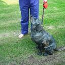 Carl Pitcher - @Carlos71 - Twitter