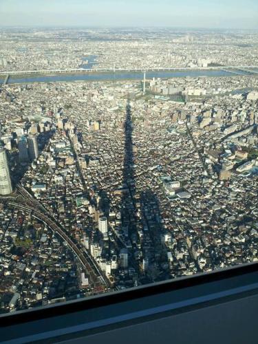 yytds's profile picture. やはです。広く浅くをモットーに、最新の情報や面白いネタなどをつぶやいています。「おっ！！」って思ったら、どんどんリツイートしちゃいましょう。フォロー返しは100％ですよっ。ヨロシク！！