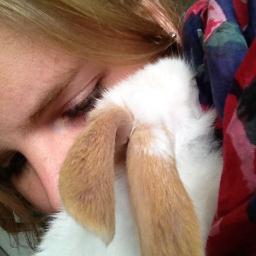 wikke_s's profile picture. 