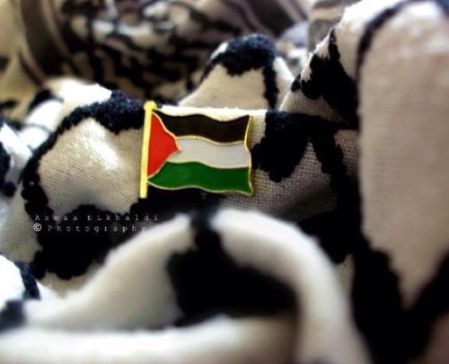 سمُّ بارد .،
بَعضْ من تِريآقْ الأفكْار في المُفَضلة ..،