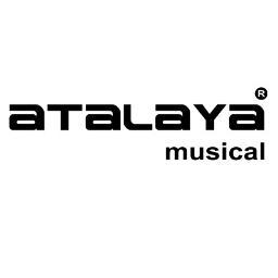 Somos una empresa pionera, dedicada a la fabricación de instrumentos musicales y producciones audiovisuales para aprendizaje musical.