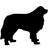 CitydogsNL's profile image