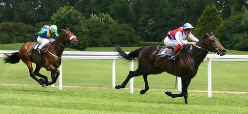 The Saturday Speculator weekly blog http://t.co/hS98ECRq a FREE publication that is a MUST for all Horse Racing fans - issued at 9am EVERY Saturday