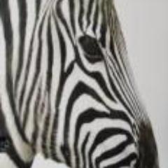 No19_Edinburgh's profile picture. Tidy five bedroom city centre apartment in the heart of Edinburgh. Belinda and Stephen https://t.co/yky3z7OpAU https://t.co/tYCwvGwLaO