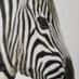 No19TheApartment (@no19_edinburgh) Twitter profile photo No19TheApartment (@no19_edinburgh) Twitter profile photo