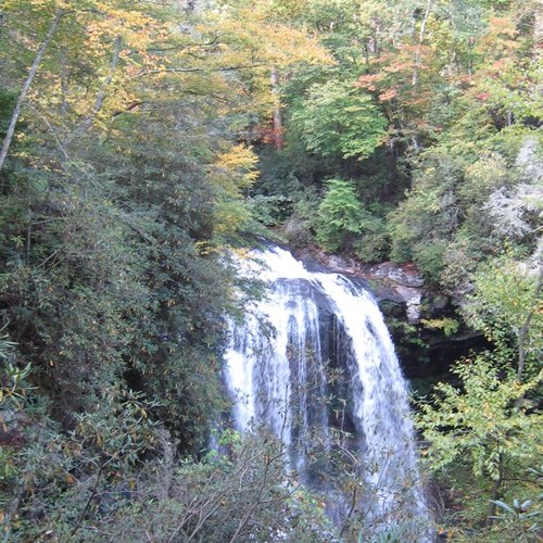 tribelady77's profile picture. 