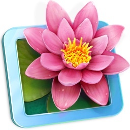 LilyViewapp's profile picture. Fast and chromeless image viewer