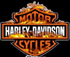 Inverted_Flying's profile picture. 