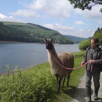 Nick Chandley (@nickchandley) 's Twitter Profile Photo Nick Chandley (@nickchandley) 's Twitter Profile Photo