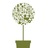 CorbridgeGarden's profile image