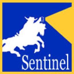 SHS_Sentinel's profile picture. The official twitter of Sunnyvale High School's newspaper.