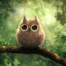 filinight's profile picture. Мысли Филина. 
Только мысли, только бред.