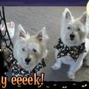 carla bennett - @carlabennett54 - Twitter