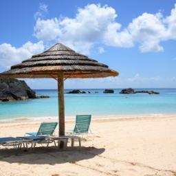 Vacation_Blog's profile picture. Get the best deals on different services including city tours, helicopter tours, day trips, sightseeing day tours and much more.