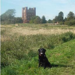 JamesBeck1984's profile picture. 