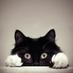 Chats (@lechat69962112) Twitter profile photo Chats (@lechat69962112) Twitter profile photo