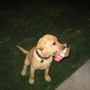 Todd Schwarz - @desertangler - Twitter