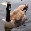 Betsy Sutton - @Betsysutton7 - Twitter