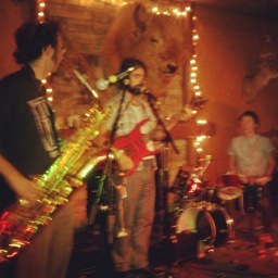 HermitThrushes's profile picture. Yo, that's a bird