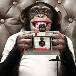 PipeHueif's profile picture. 