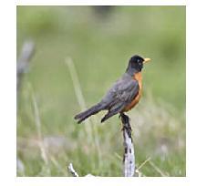 visitmymichigan's profile picture. 