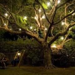 Treeofhope20's profile picture. just need peace