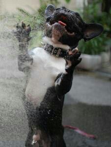 Rorscharh's profile picture. 