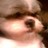 TeddyBoegs's profile image