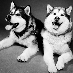 belieber1005's profile picture. 16 year old singer and songwriter @justinbieber is my inspiration i love my friends and fans the support they give me is amazing always follow your dreams