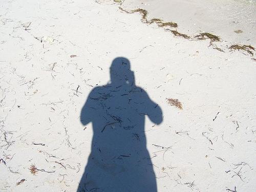 superchill64's profile picture. 