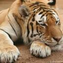 Ryan Doherty - @portal_fire - Twitter