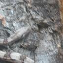 Benjamin Specht - @Arugal85 - Twitter