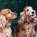 María Prego Vazquez - @YahelPrego - Twitter