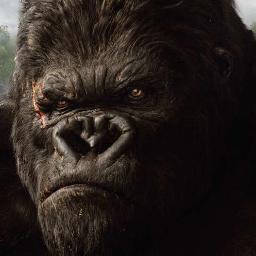 protov_mde's profile picture. el ave fénix de la música lo-fi criolla