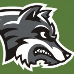 IKM-Manning HS News Profile
