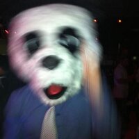 Chris McLeod (@chris_mcleod_) 's Twitter Profile