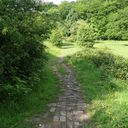 Ryan Dowdy - @RyanDowdy1 - Twitter