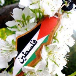 ‏الحـوار مع الجهـلاء كالـرسم على ميـاه البحـر
مهـمـا أبدعنـا فلـن يحـدث شـيء