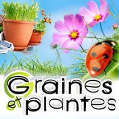 Graines Et Plantes Calendrier Lunaire Juin 2023 Graines Et Plantes (@Grainesplantes) / Twitter