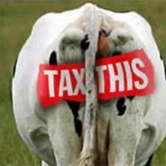 Free Financial Review For Businesses
* Rated #1 Hawaii Tax Preparation
* We Save You Money Every Year