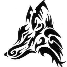 EvanxFox's profile picture. 