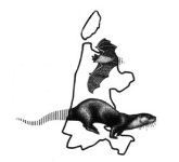 Noordhollandse Zoogdier Studiegroep