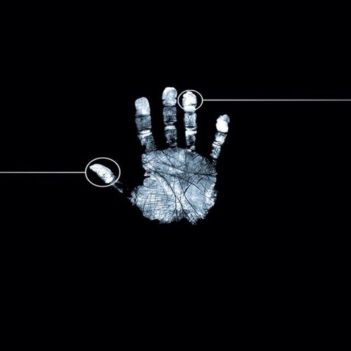 pacogerlorico's profile picture. Soy una pasta que tiene vida ,dejenme vivir lo mas digna y humanamente posible.