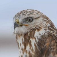 climatehawk1 (@climatehawk1) 's Twitter Profile Photo climatehawk1 (@climatehawk1) 's Twitter Profile Photo