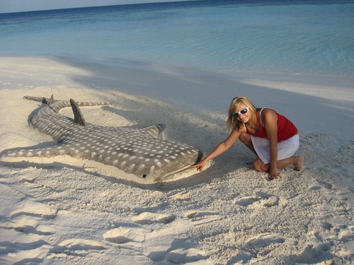 kokuninalena's profile picture. Я в курсе,что в вакууме звук не распространяется,но Надежда